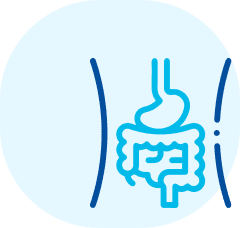 Mimics natural digestion